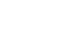 A1