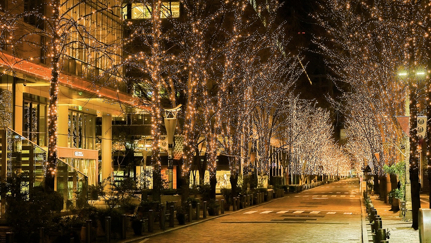 Shop and view the illuminated Marunouchi Naka-dori
