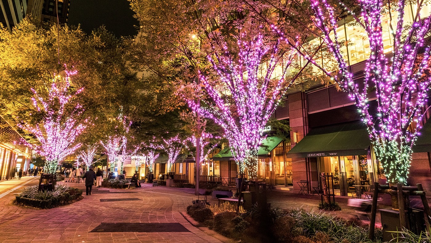 Have dinner with a view at Tokyo Midtown Hibiya