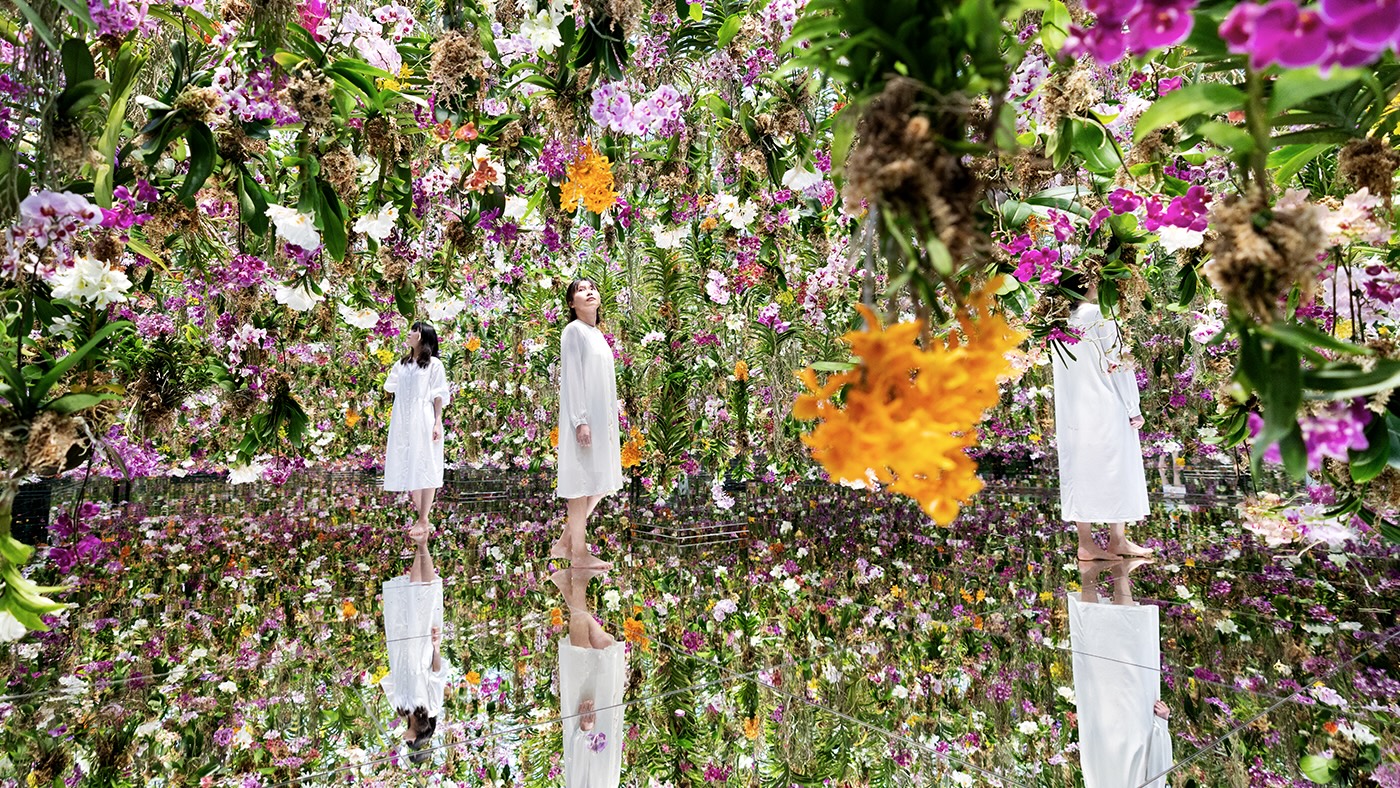 Visit teamLab Planets TOKYO DMM.com