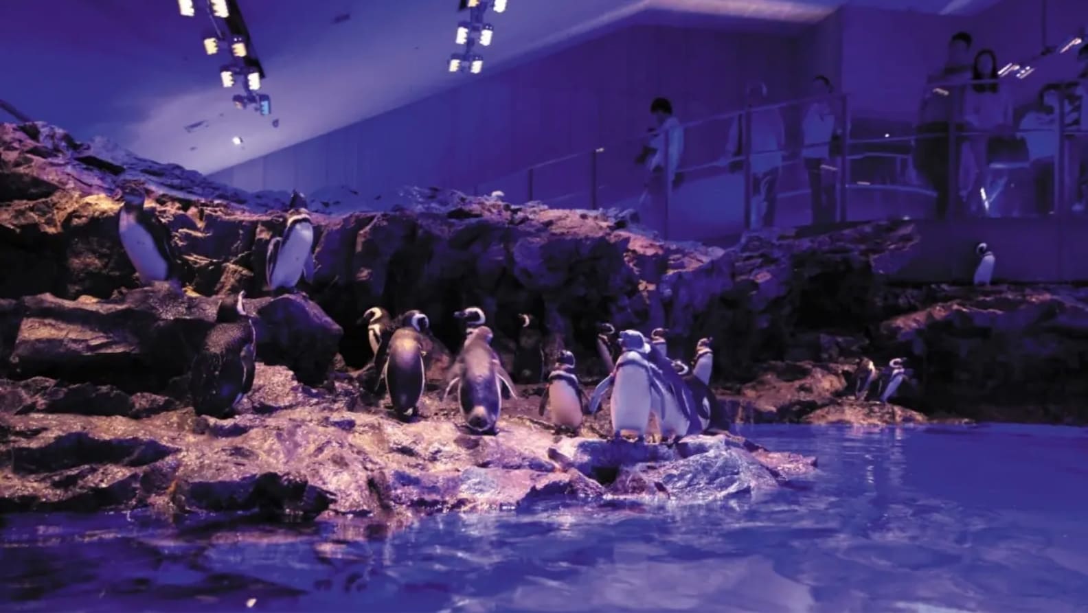 Sumida Aquarium