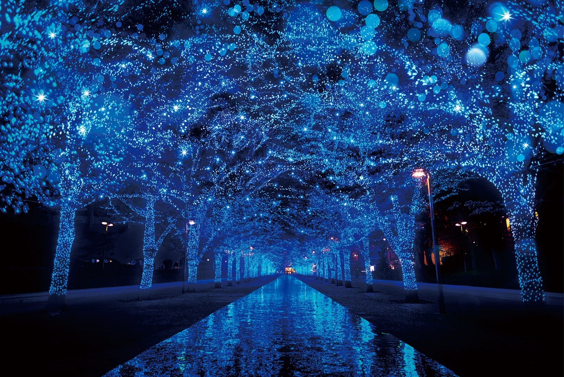 青の洞窟 SHIBUYA