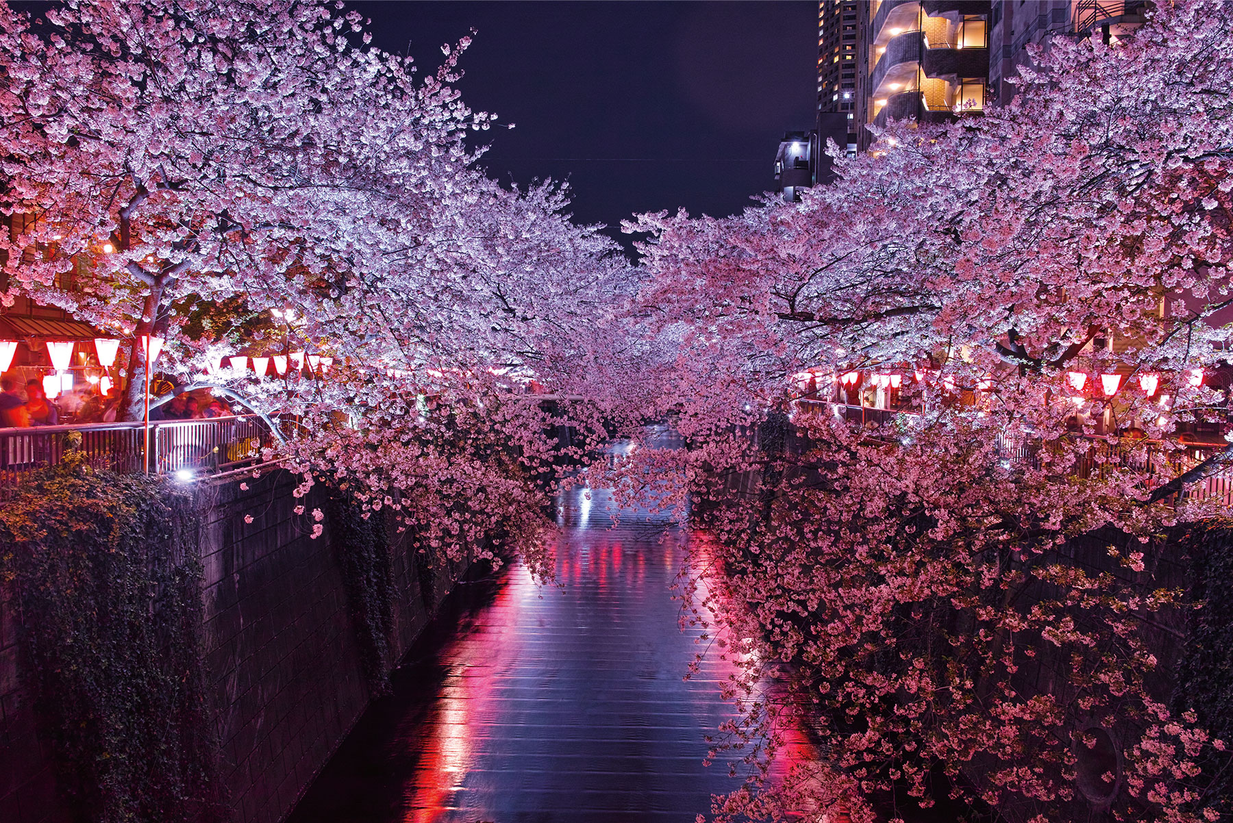 Meguro River Area