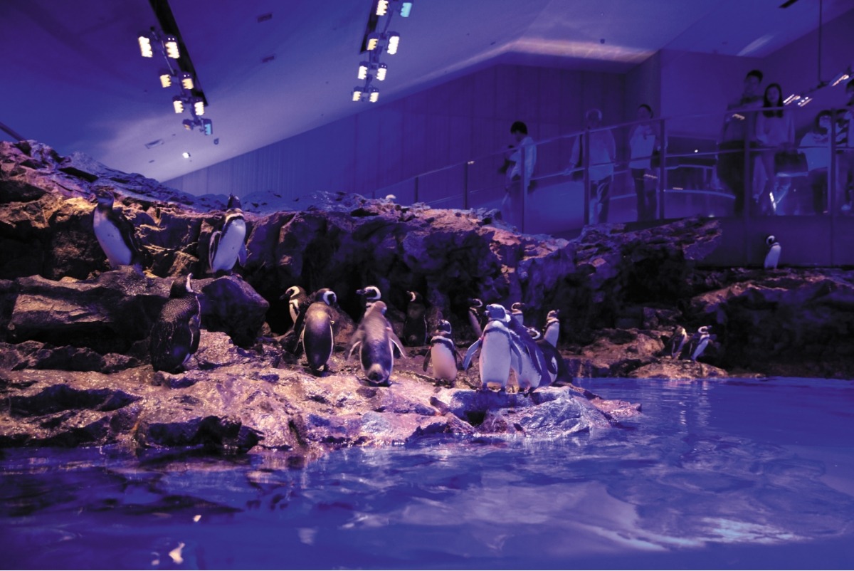 すみだ水族館