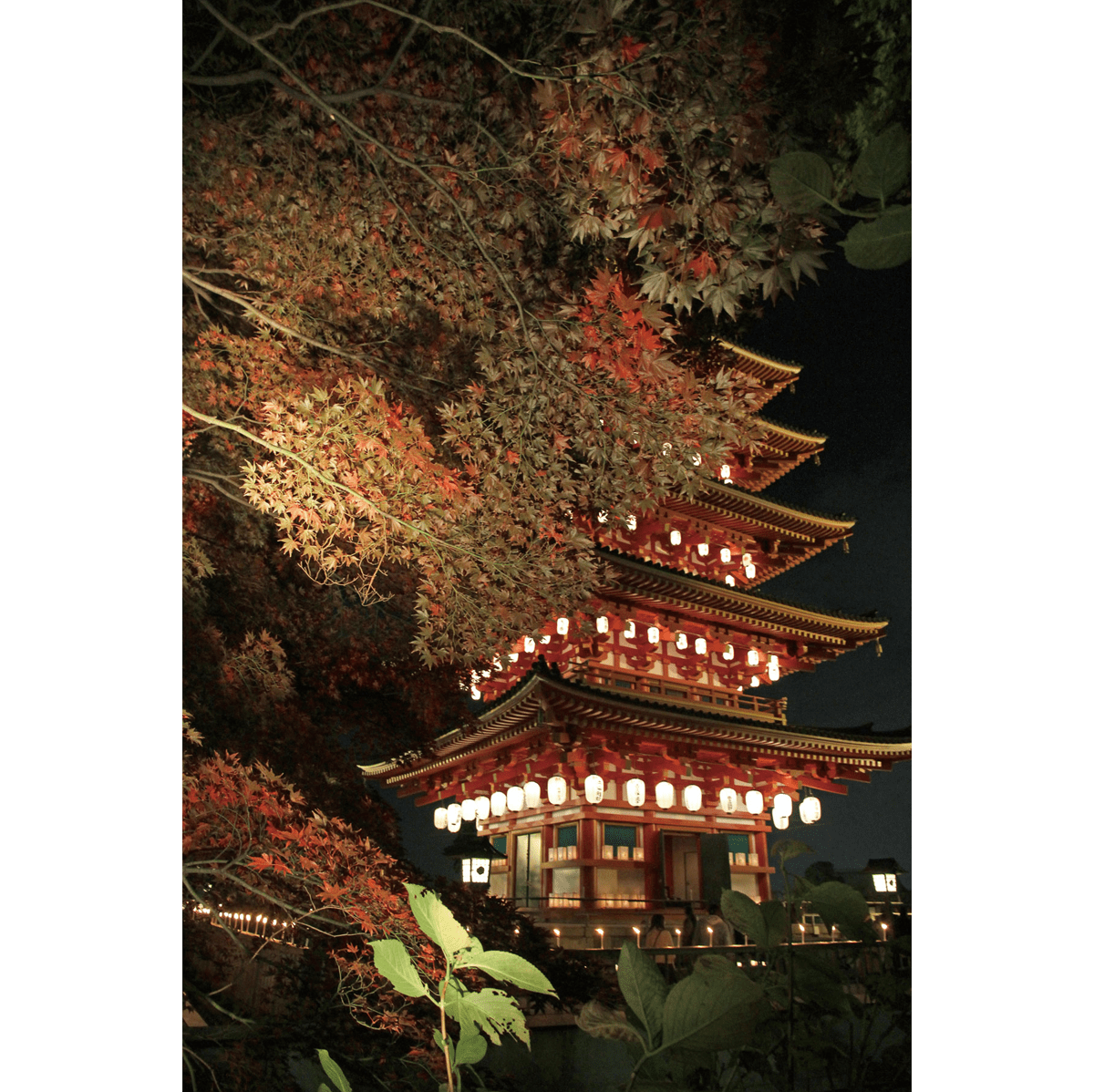 高幡不動尊