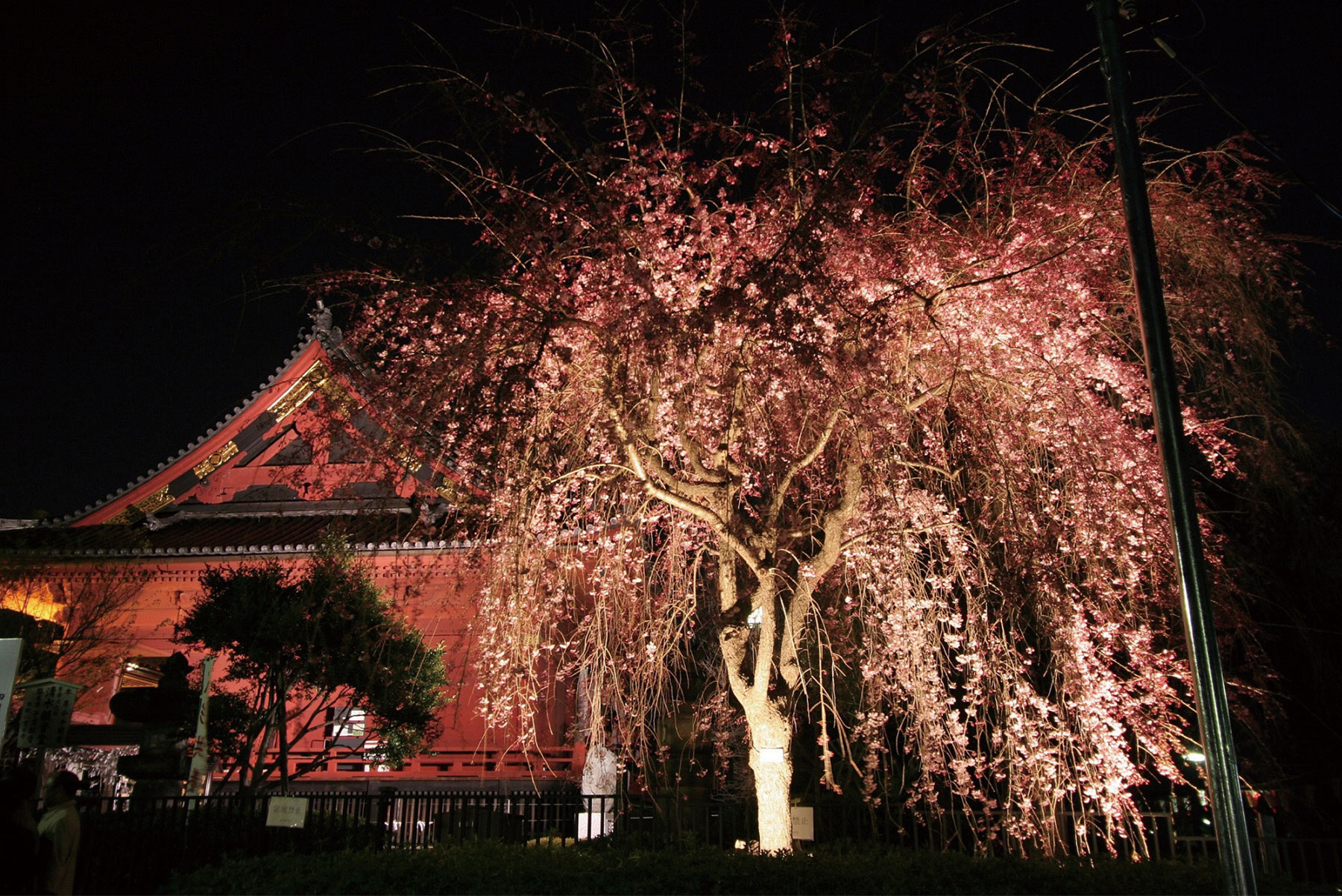 Ueno Park