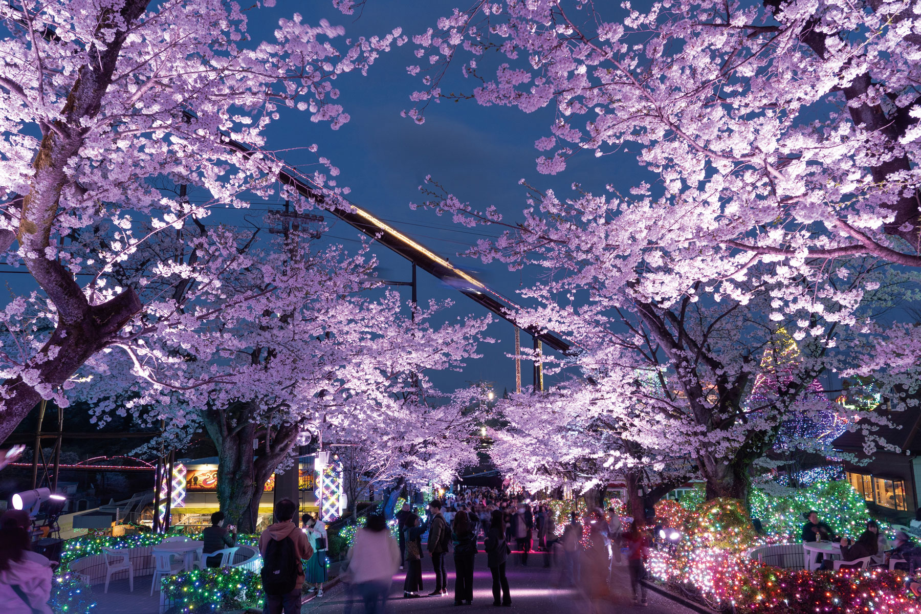 Yomiuri Land