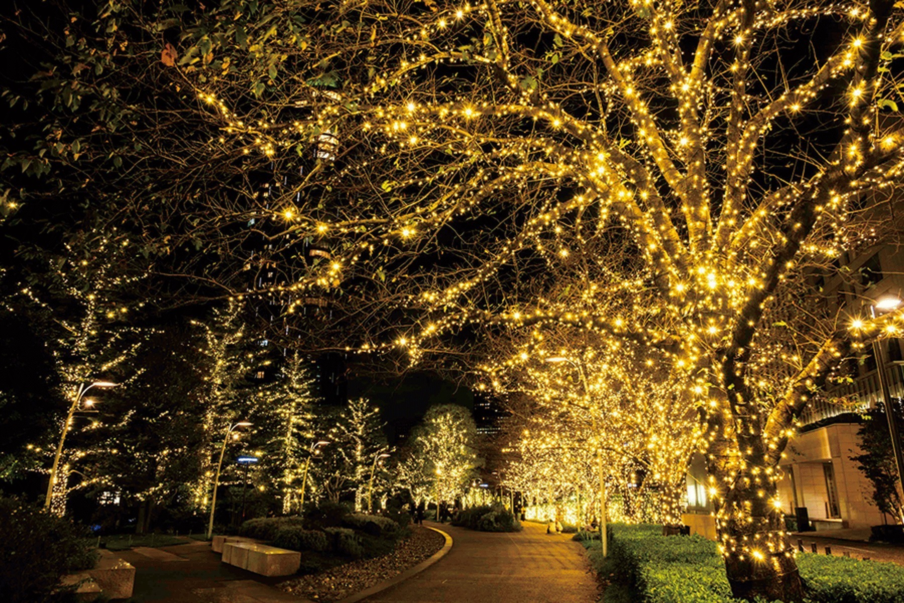 Tokyo Midtown