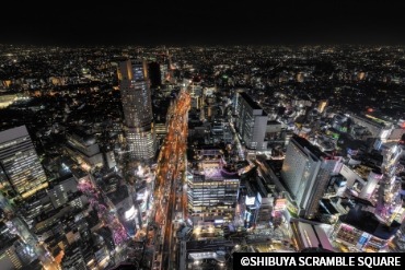 Shibuya and Harajuku